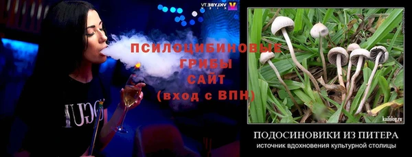 прущий лед Осинники