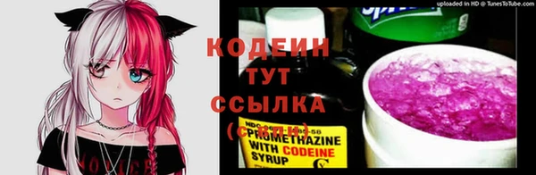 прущий лед Осинники