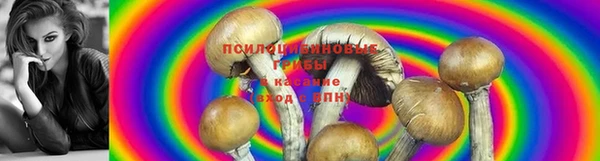 шишки Остров