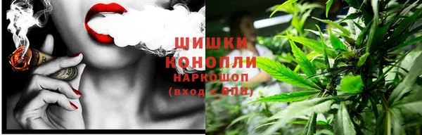 шишки Остров