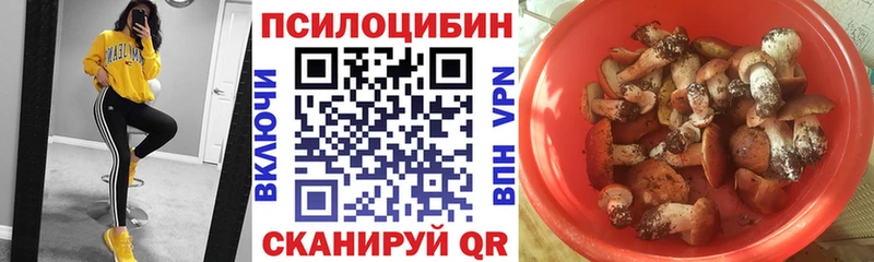 Галлюциногенные грибы Cubensis Углегорск
